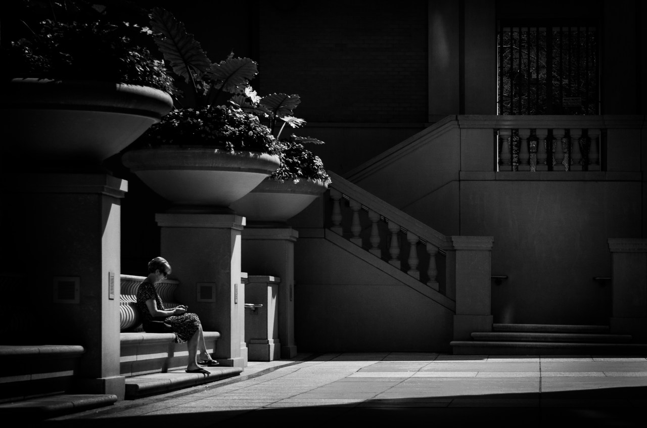 Catching Mid-Day Sun