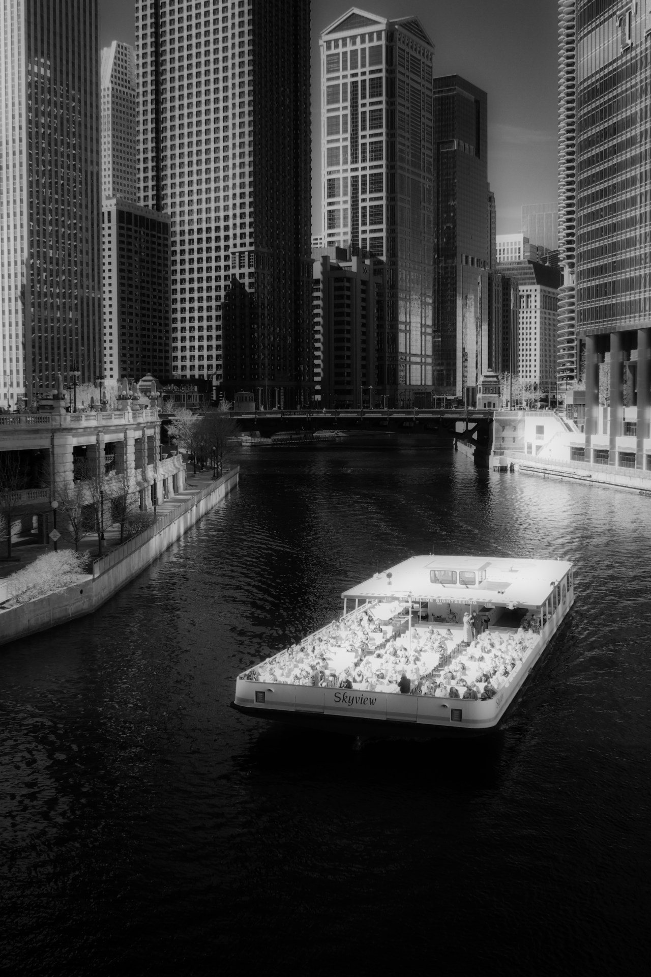 Skyview Floating Back To&nbsp;Life