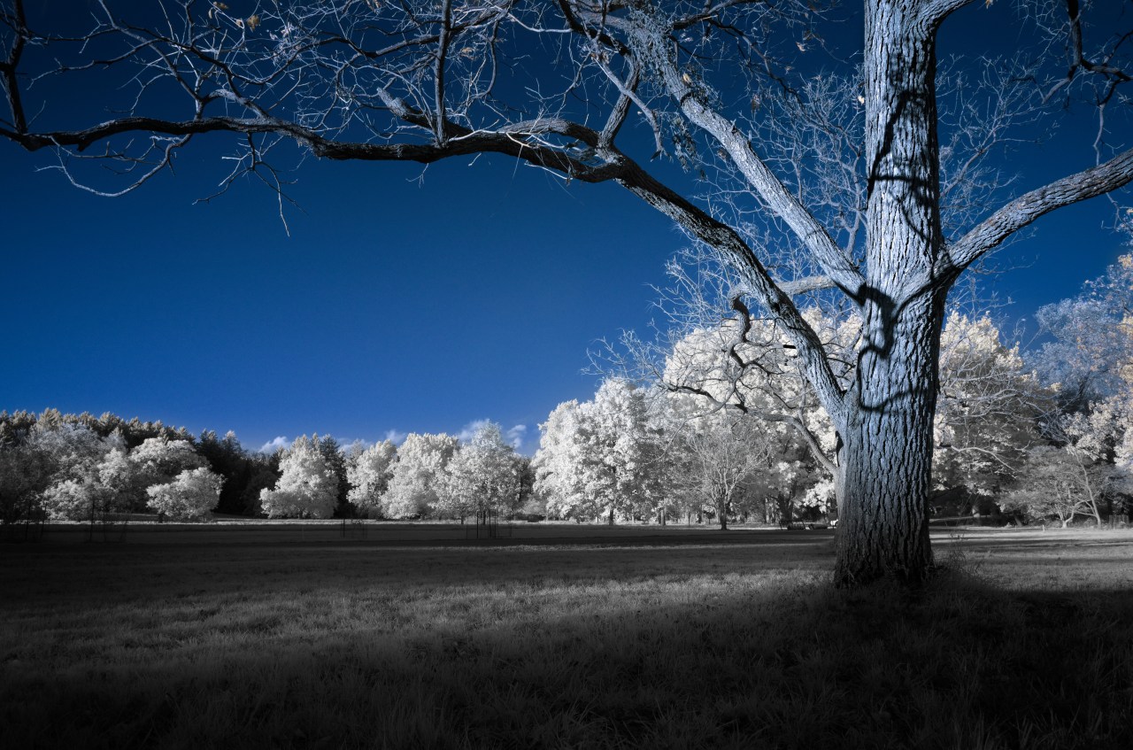 Weight of the&nbsp;World