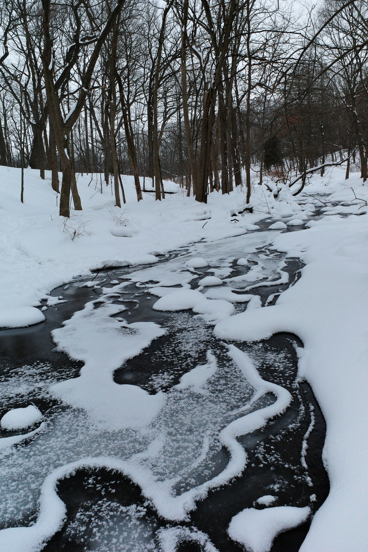 Winter’s Last Stand