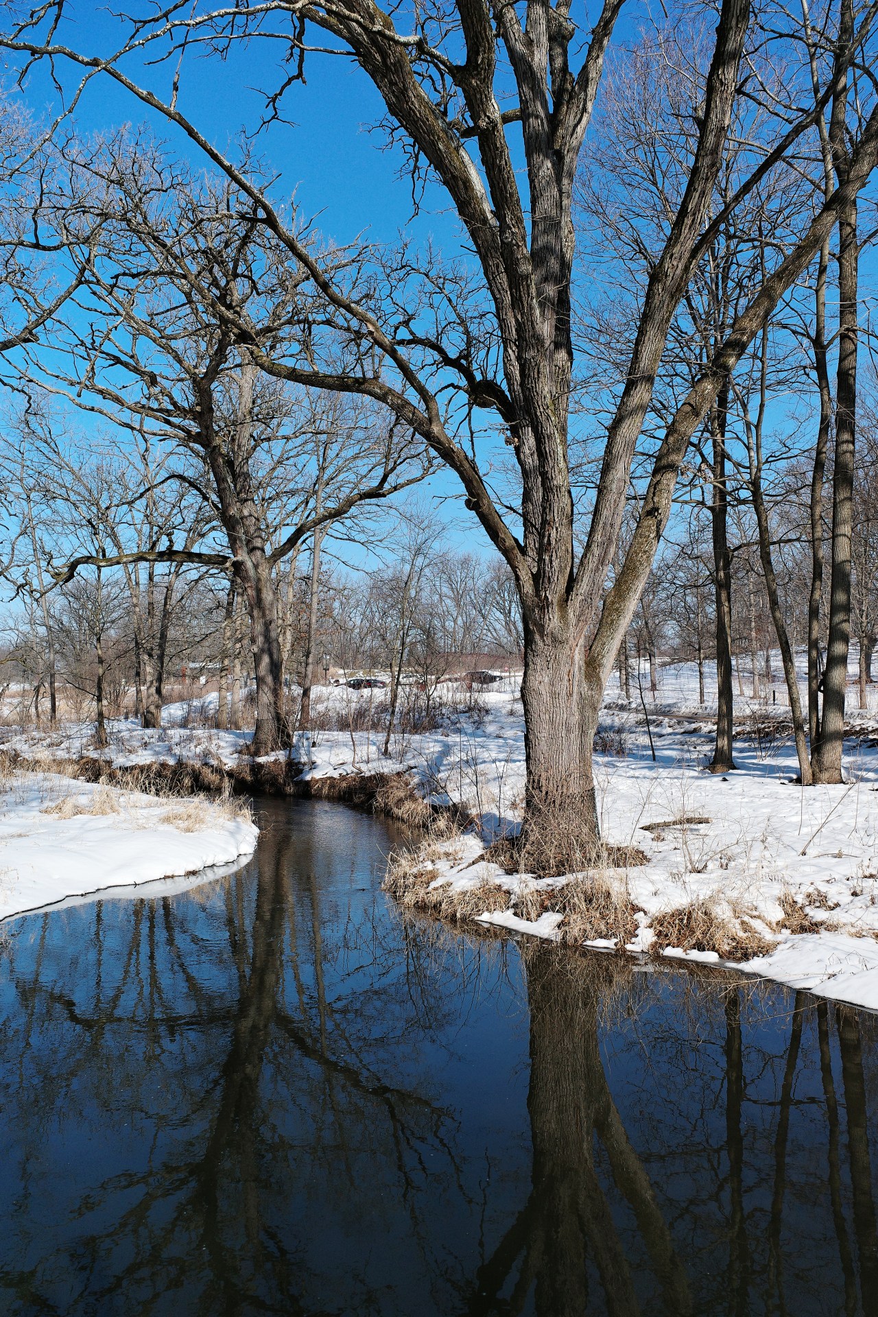 Life at a River&nbsp;Bank