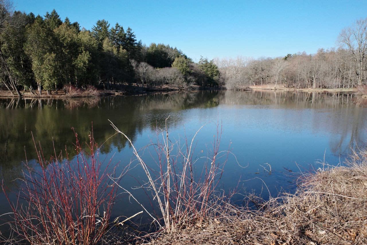 Scouting New Locations