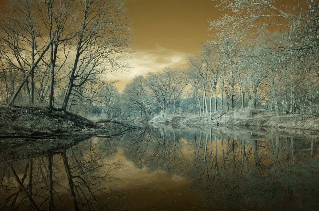 One For the&nbsp;Books