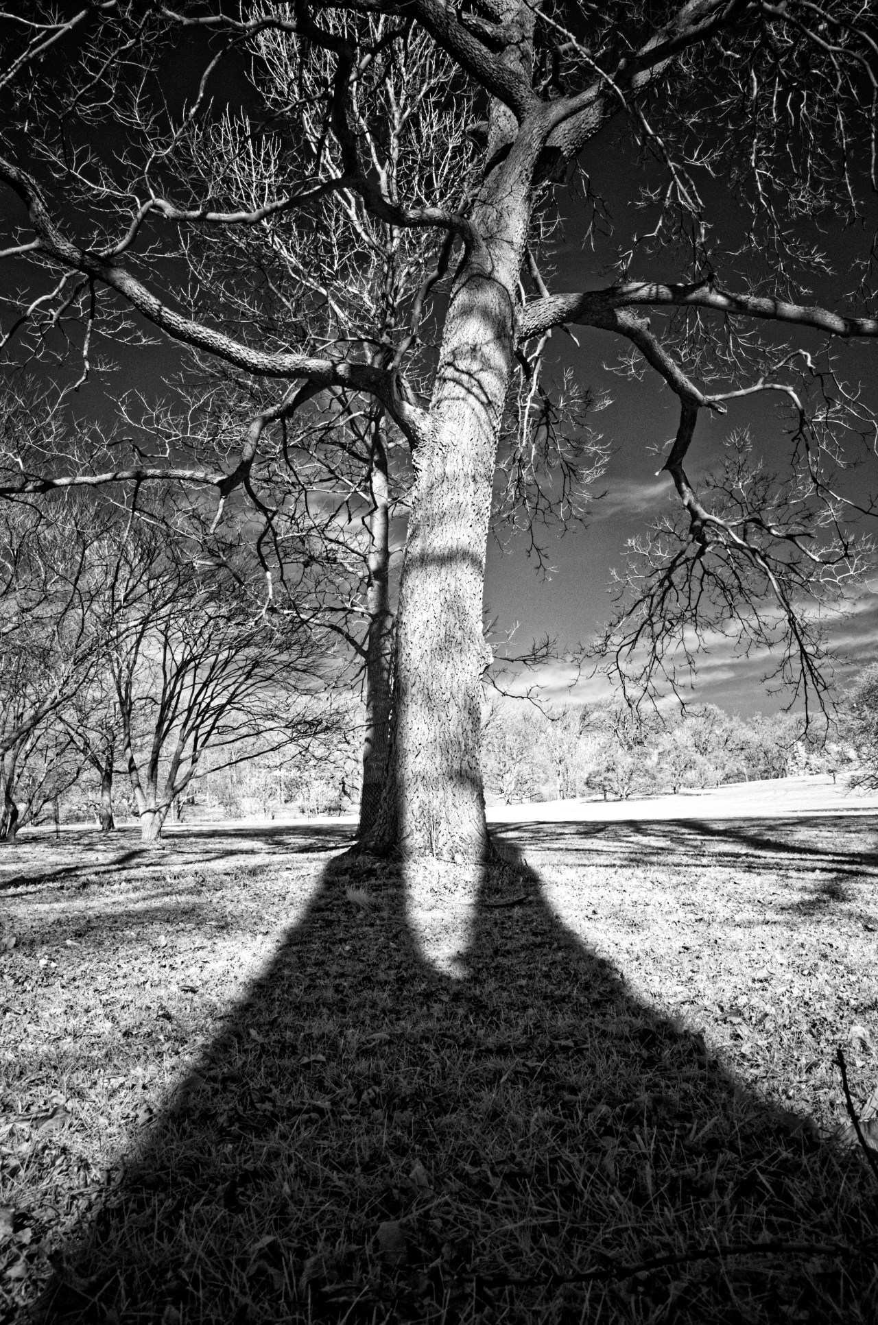 Tale of Three&nbsp;Brothers