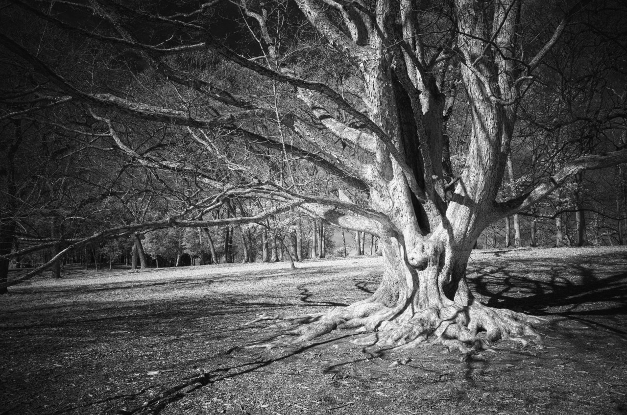 Madame Tussauds Gone&nbsp;Wrong