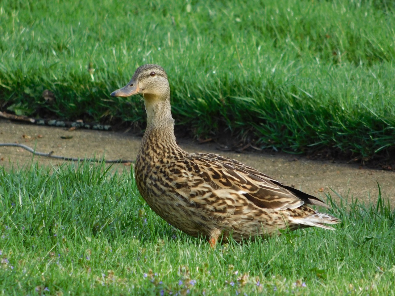 Unexpected Yet Welcome