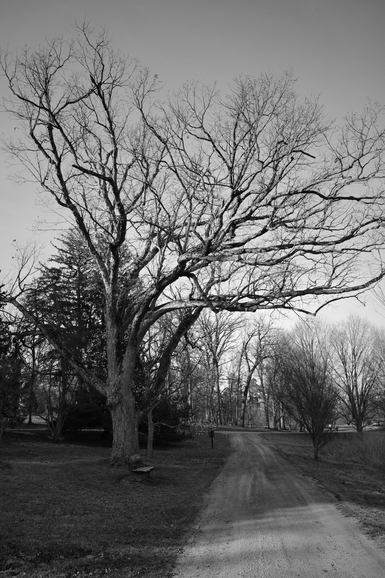 200 Years And&nbsp;Counting