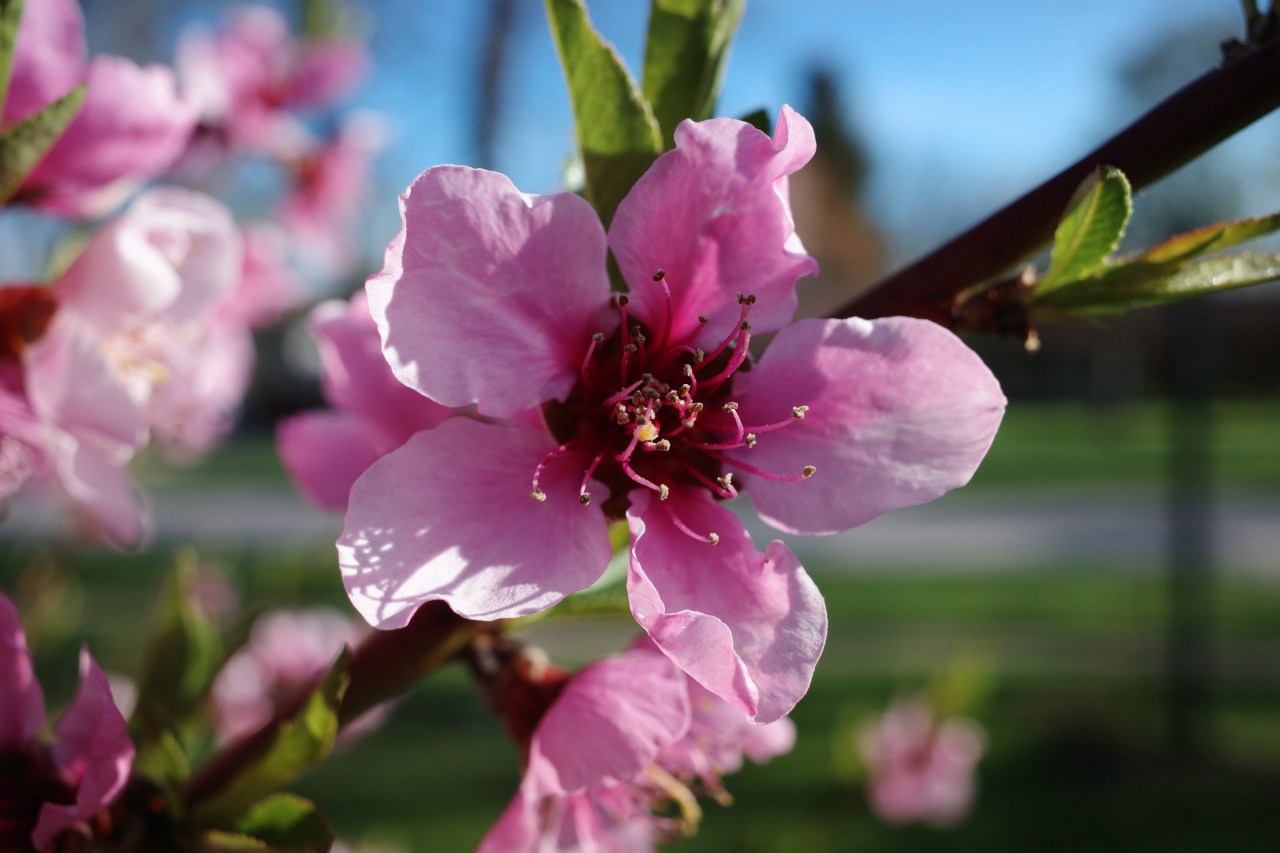 Coming Back To&nbsp;Life