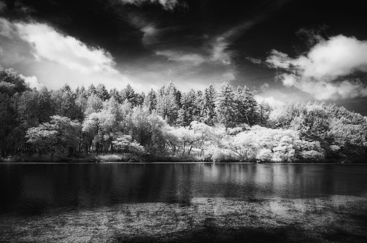 Early Summer Tranquility