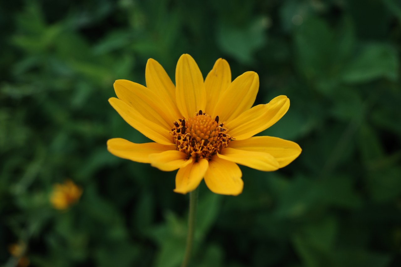 In The Name of&nbsp;Progress