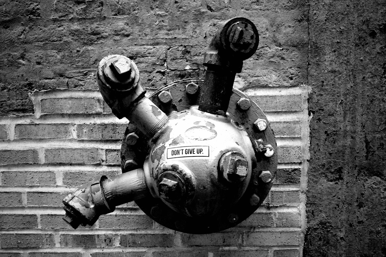 A Lesson in&nbsp;Perseverance