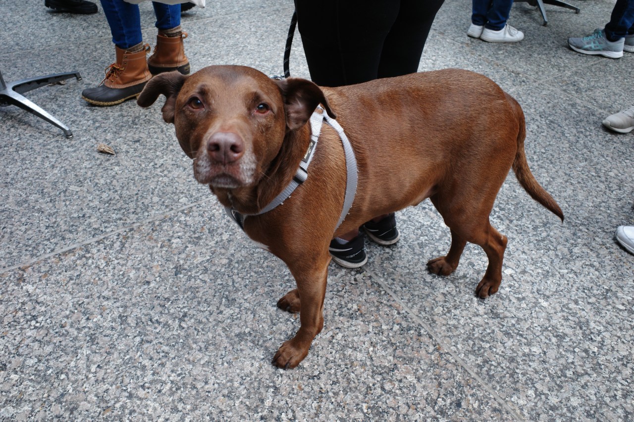 Remember the Faithful