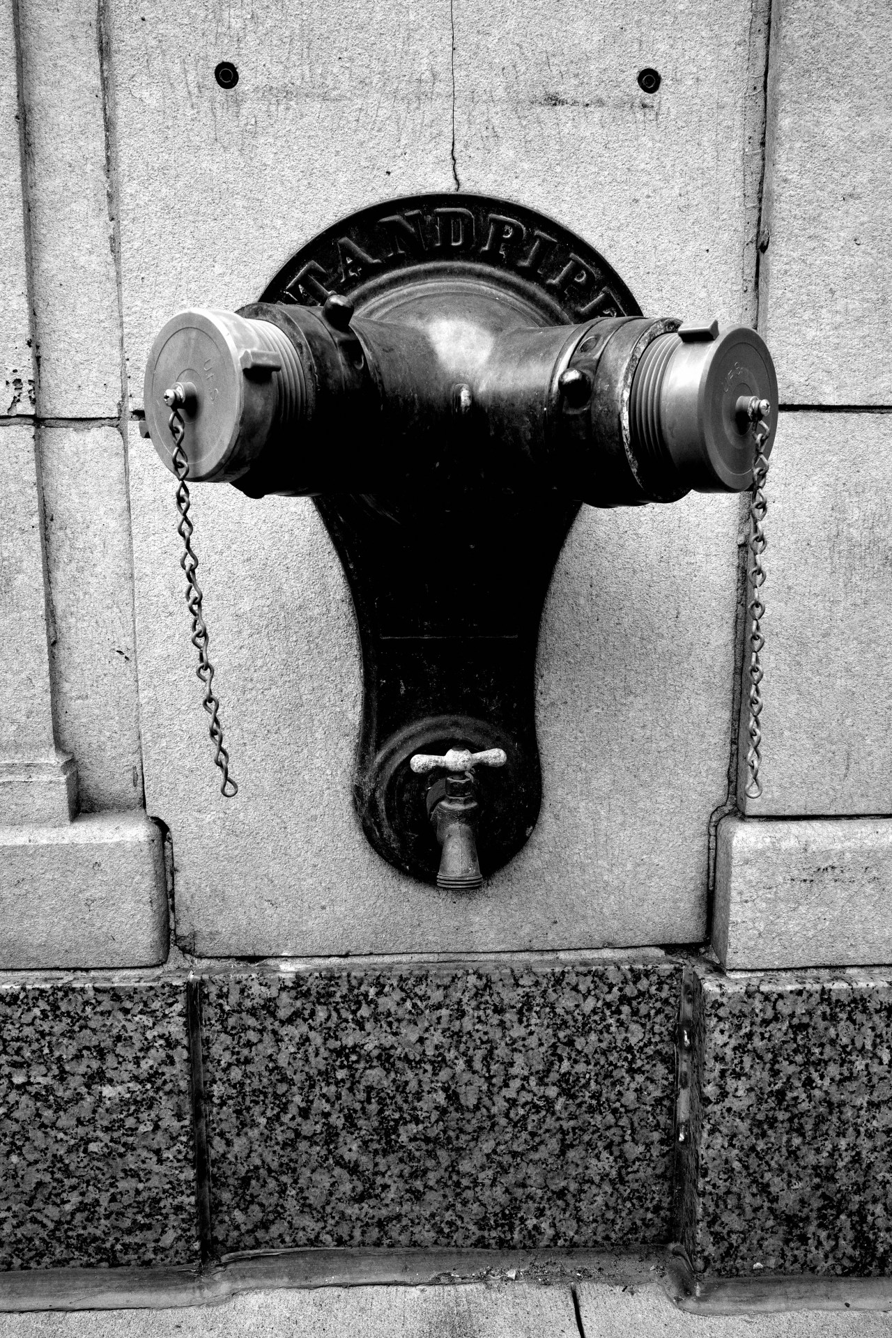 To Bull or Not to&nbsp;Bull