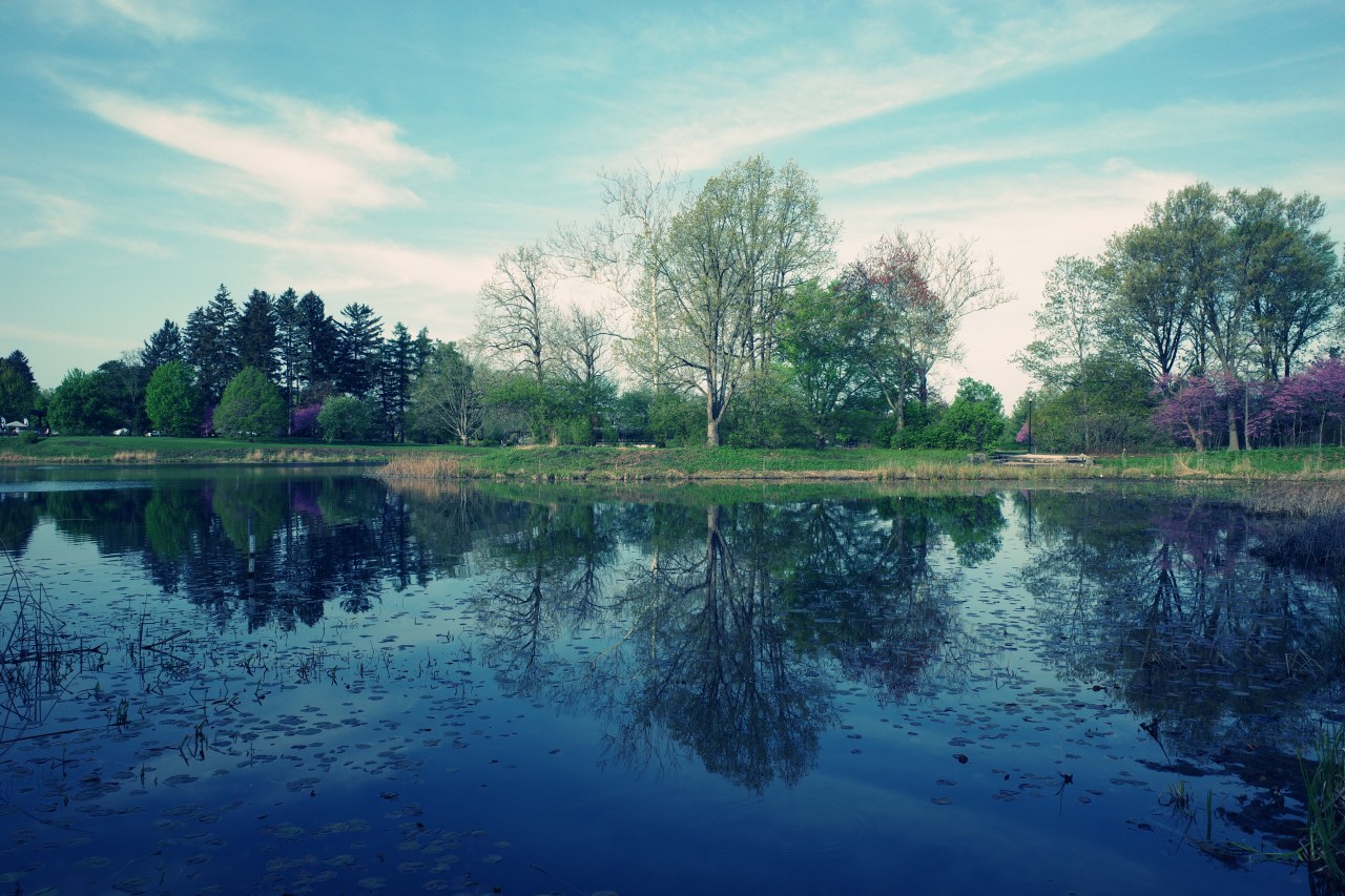 One Cannot Be Without The&nbsp;Other