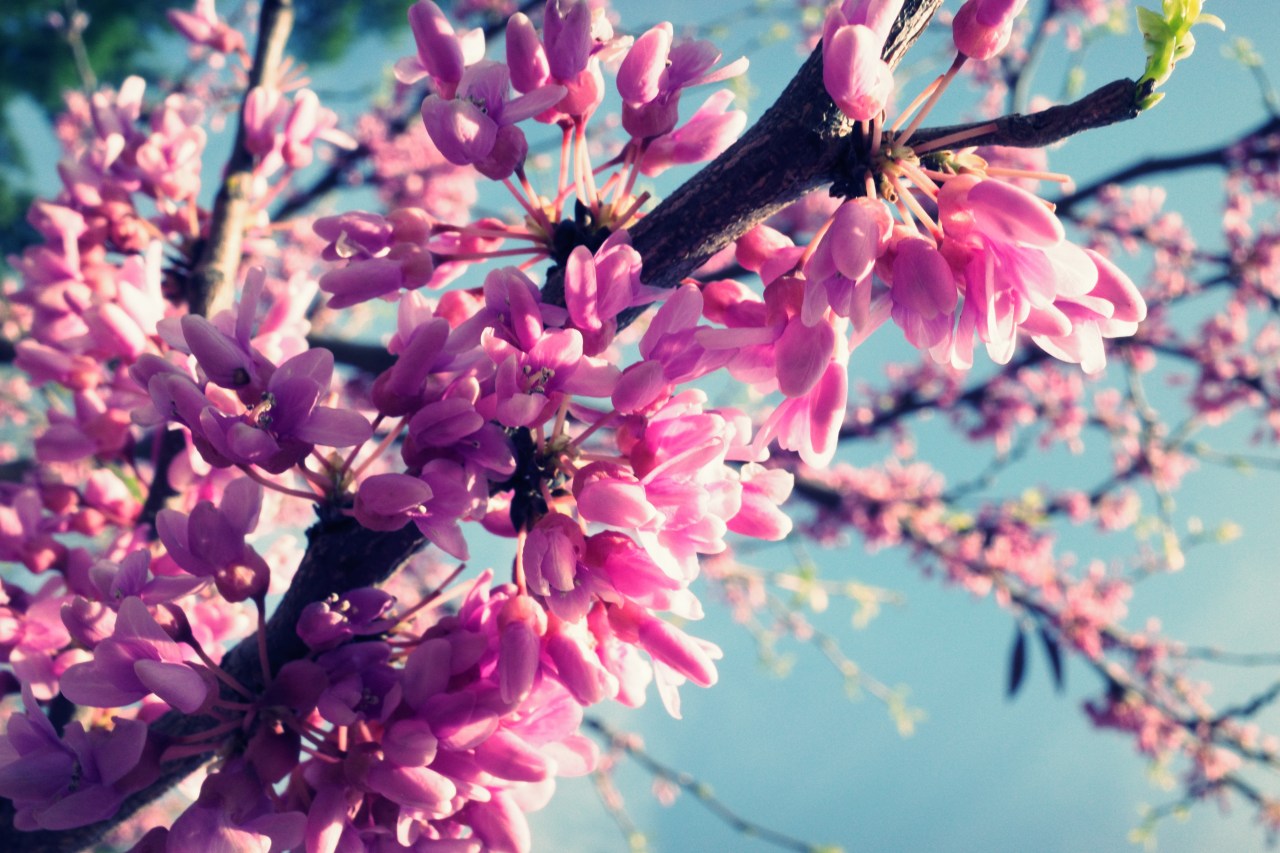 Coming Back to&nbsp;Life