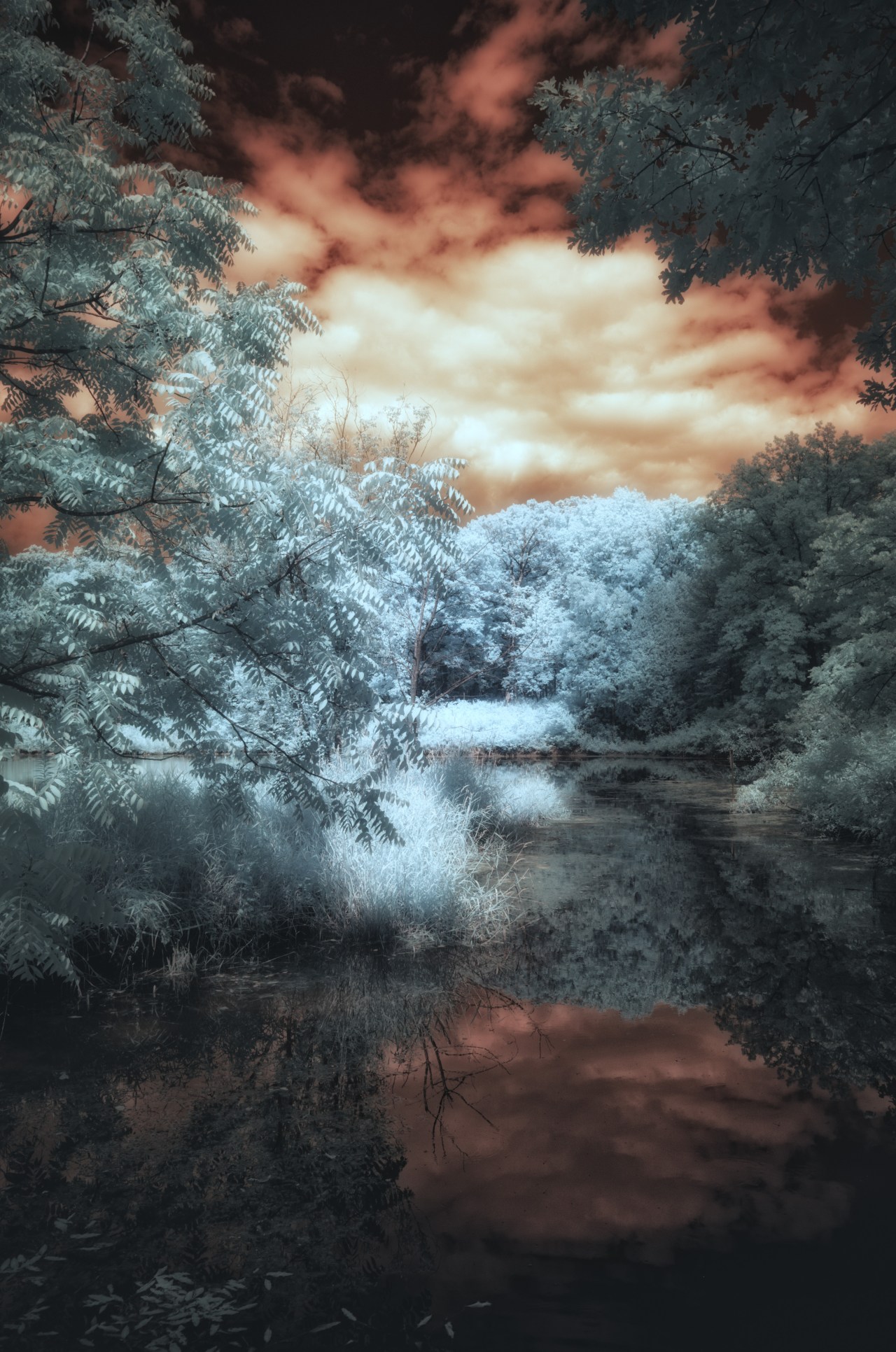 IR Photography – Processing&nbsp;Color