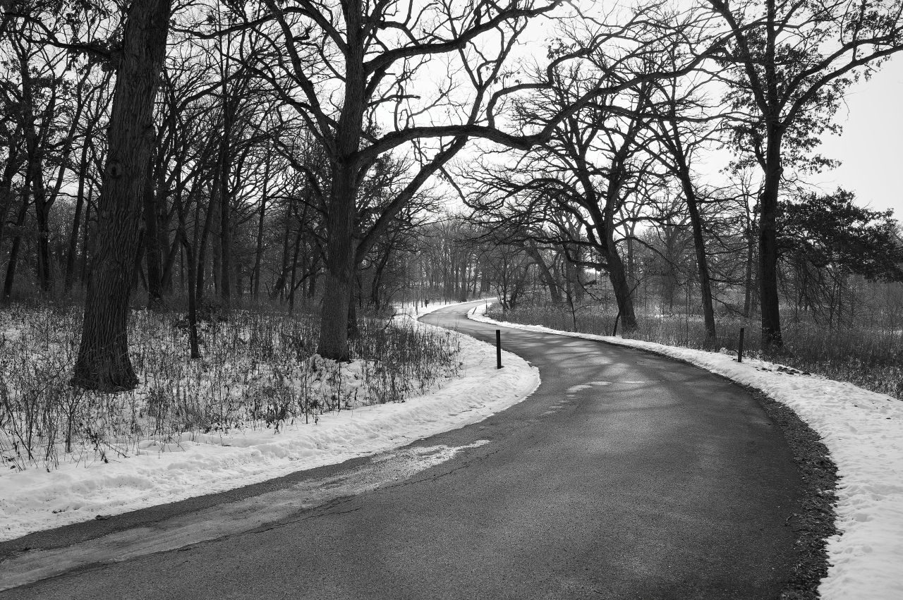 Winter’s Score