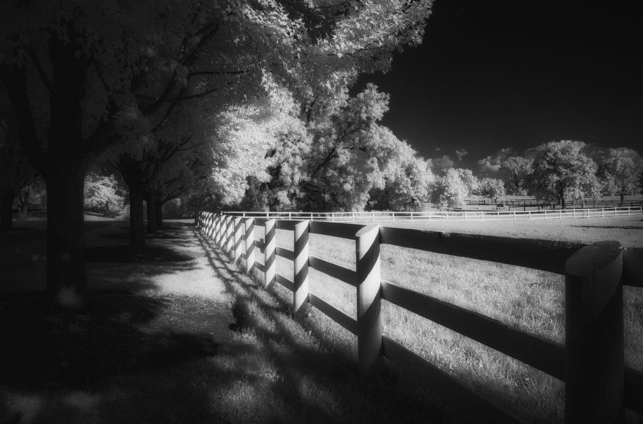 The Fence Lied