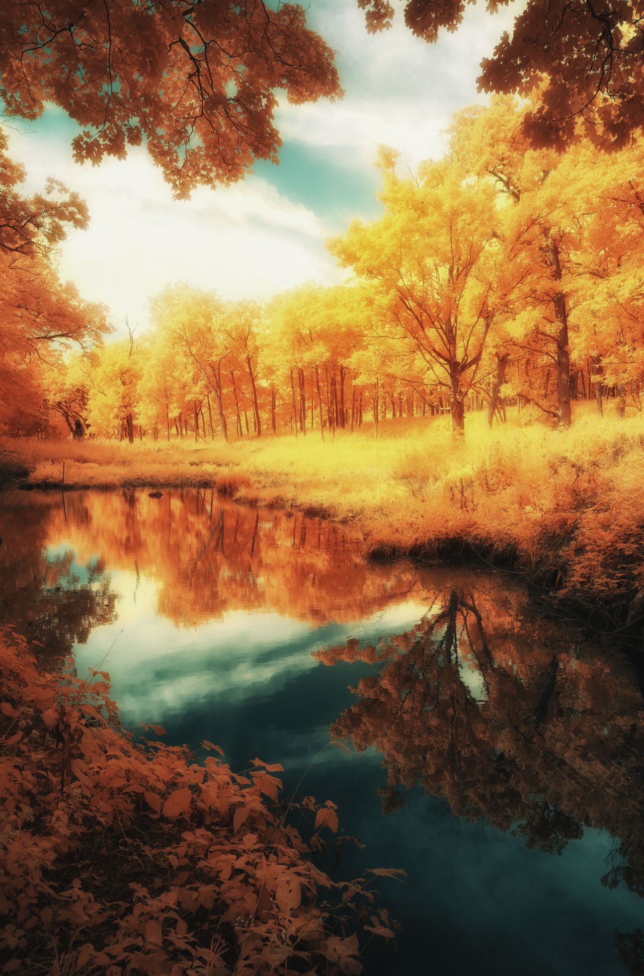 Memory of Autumn&nbsp;Past